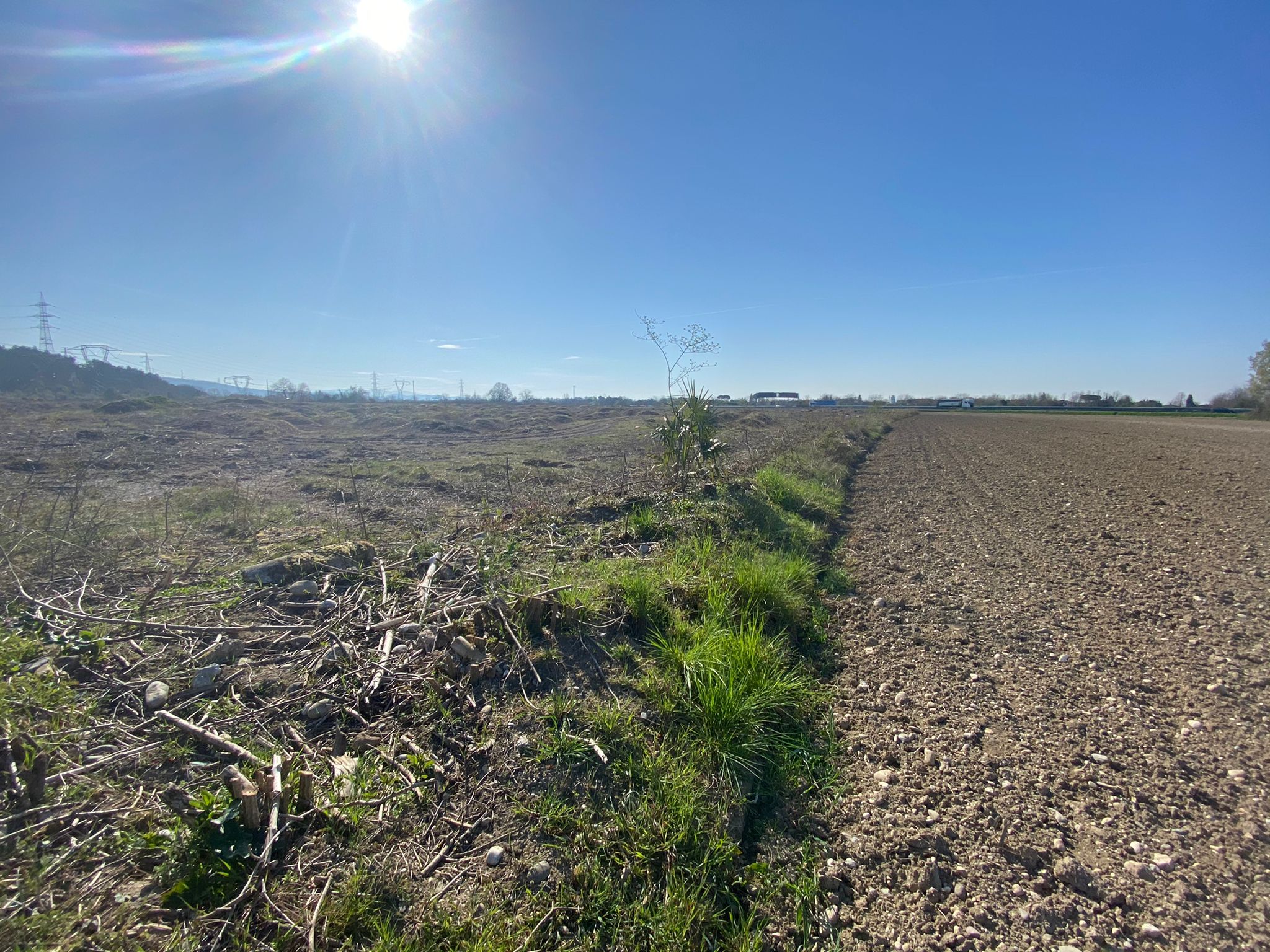 Immagine per San Pier d'Isonzo, disboscato il campo del parco fotovoltaico ai piedi del Colle Sant'Elia